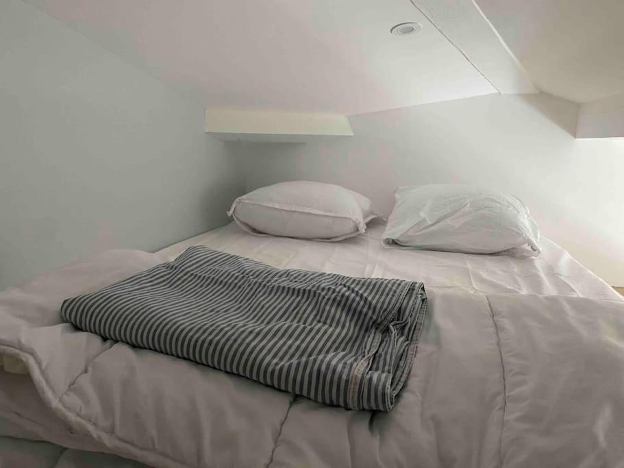 Trocadero, Tour Eiffel, Duplex 120 M2 * Parijs